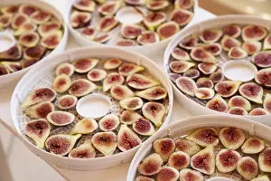 Exotic Fruit Nutrition Stampe: Fruit drying process on plates. Close up