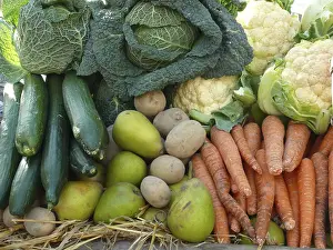 Harvested Fruits Stampe: Fruit and vegetables