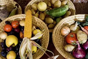 Fresh Produce Stampe: Fruits and vegetable in baskets