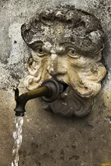 Uninhabited Landscape Stampe: Gargoyle
