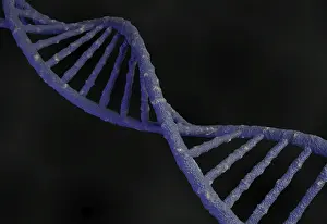 IL DNA Stampe: Codice genetico struttura del molecola DNA. Rendering 3d.