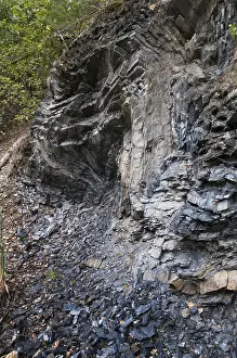 Protected Area In Middle Europe Stampe: Germany, graptolites, Thuringia