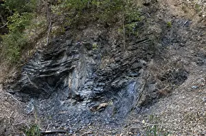 Central Europe Scenery Stampe: Germany, graptolites, Thuringia