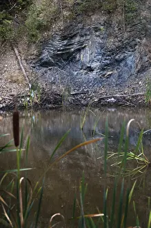 Germany Environmental Reserve Stampe: Germany, graptolites, Thuringia