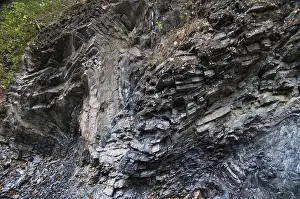 Germany Natural Monument Stampe: Germany, graptolites, Thuringia
