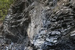 German Nature Reserve Stampe: Germany, graptolites, Thuringia