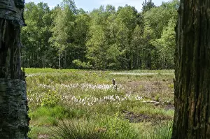 Central Europe Nature Park Stampe: Germany, Greiz, Struth, Thuringia