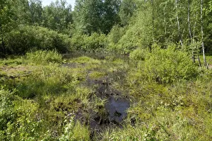 Nature Conservation Area Germany Stampe: Germany, Greiz, Thuringia, Thuringia