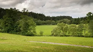 Old Man With Beard In Nature Stampe: Germany, Greiz, Thuringia, Thuringia