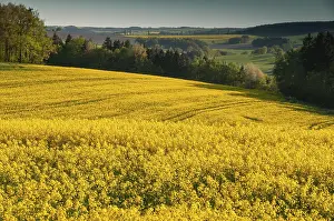 Central European Landscape Stampe: Germany, Greiz, Thuringia, Thuringia