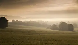 Thuringia Landscape Stampe: Germany, Greiz, Thuringia, Thuringia