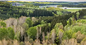 European Countryside Views Stampe: Germany, Greiz, Thuringia, Weidatal