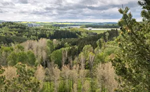 Thuringia Landscape Photography Stampe: Germany, Greiz, Thuringia, Weidatal