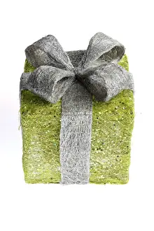 Wrapped Birthday Gift Stampe: Gift box, present