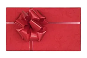 Birthday Present Box Stampe: Gift Wrapped Present