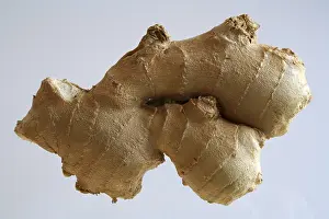 Fresh Ginger Stampe: Ginger
