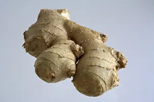 Fresh Ginger Stampe: Ginger