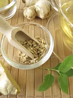 Medicinal Plant Stampe: Ginger tea