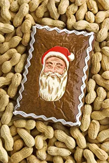 Christmas Sweets Stampe: Gingerbread and peanuts