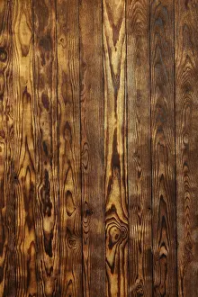 Wooden Background Design Stampe: Golden pine wood background texture rustic pattern