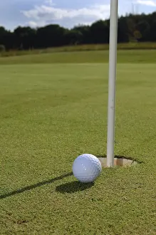 Golf Course Stampe: Golf