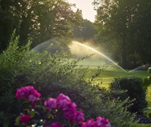 No People Golfing Stampe: Golf ground