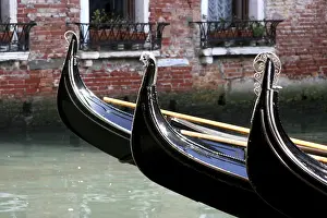 Venice Gondolas Stampe: Gondolas