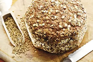 Balanced Diet Staples Food Stampe: Whole grain bread