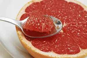 Grapefruit Nutrition Stampe: Grapefruit