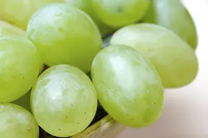 Grape Nutrition Facts Stampe: Grapes
