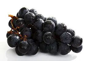 Grocery Store Fresh Produce Stampe: Grapes