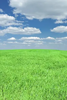 Blue Sky View Stampe: Grass and sky