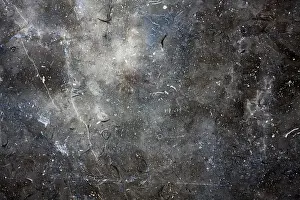 Gray Marble Texture Stampe: Gray marble texture