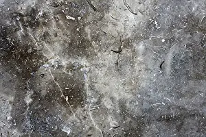 Gray Marble Texture Stampe: Gray marble texture