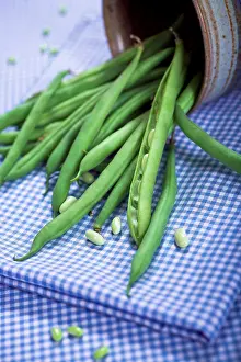Green Beans Stampe: Green beans on a table