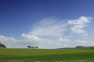 German Spring Landscape Stampe: Green spring landscape with trees clouds
