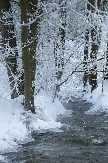 Thuringia Winter Landscape Stampe: Greiz, Thuringia, Triebitzbach