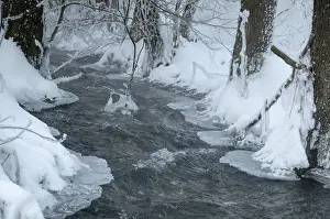 Thuringia Winter Landscape Stampe: Greiz, Thuringia, Triebitzbach