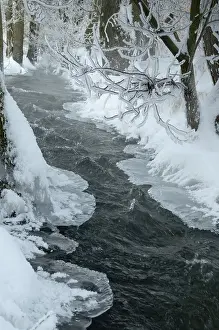 Thuringia Winter Landscape Stampe: Greiz, Thuringia, Triebitzbach