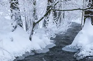 Thuringia Winter Landscape Stampe: Greiz, Thuringia, Triebitzbach