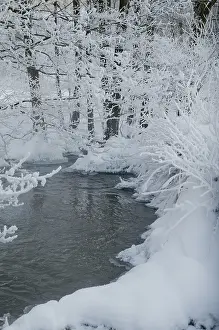 Snowy Winter Landscape Stampe: Greiz, Thuringia, Triebitzbach