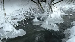 Central Europe Wintry Scenes Stampe: Greiz, Thuringia, Triebitzbach