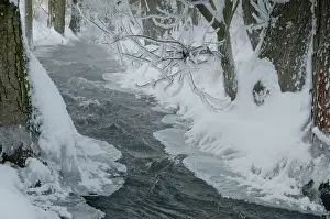 Thuringia Winter Landscape Stampe: Greiz, Thuringia, Triebitzbach