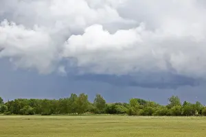 Protected Area In Eastern Germany Stampe: Grey clouds float over a green meadow lined with trees