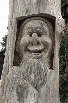 Deserted Woodland Scenes Stampe: Grimace in a tree trunk