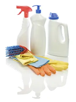 Household Items Stampe: Group of cleaning objects