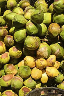 Uninhabited Tropical Landscape Stampe: Group of coconuts
