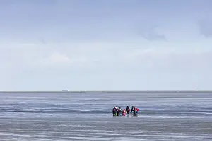 Cuxhaven Germany Stampe: Group of mudflat strollers in mudflat
