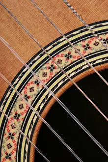 Music Instrument Detail Stampe: Guitar