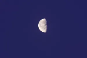 Nocturnal Night View Photo Stampe: Half moon